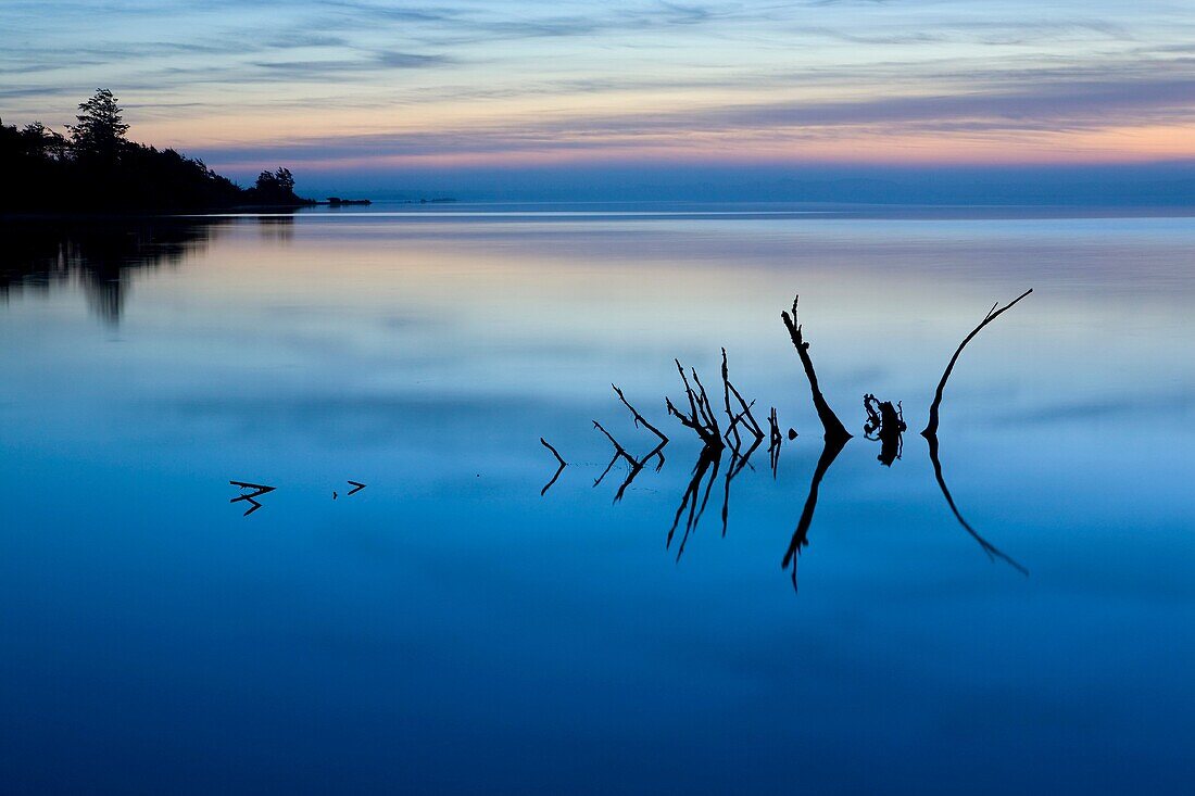 USA, Oregon, Tillamook County, Tillamook Bay at dusk, August