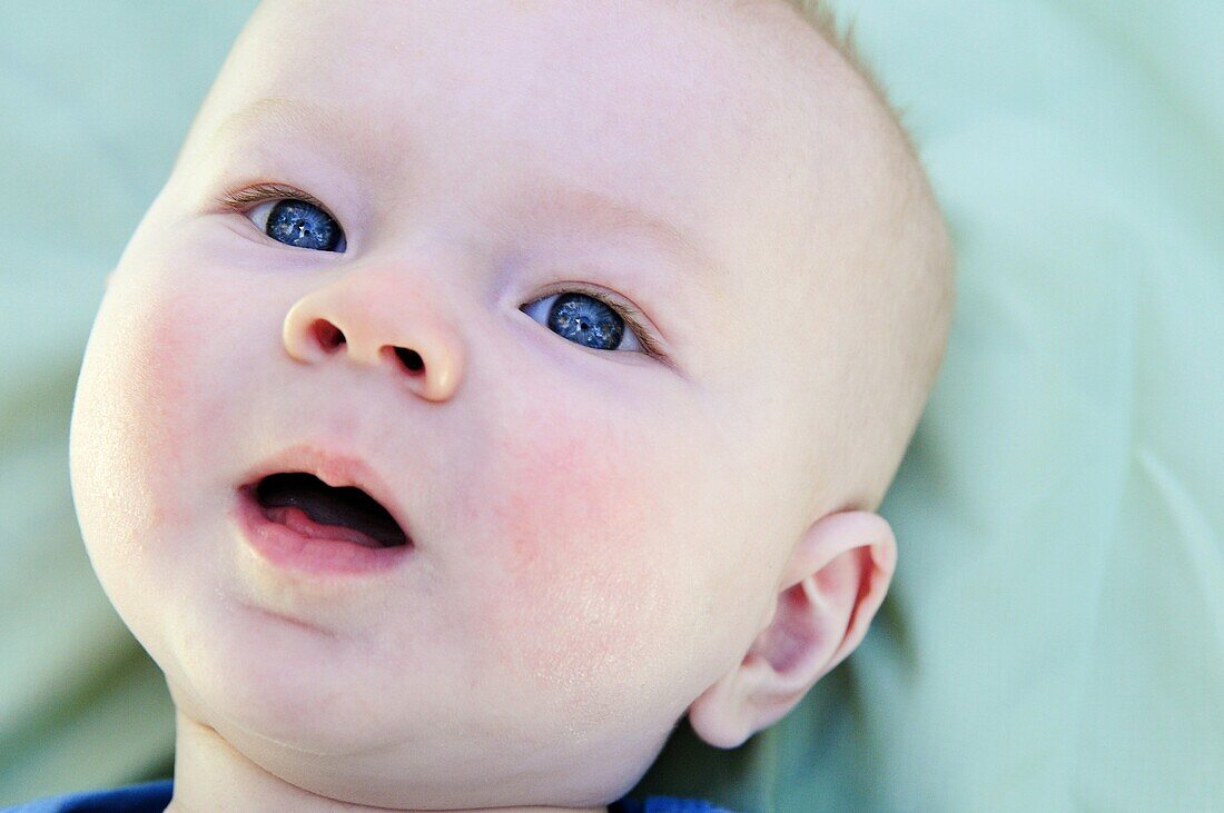 Baby, Close-up, Face, Toddler, G34-1050467, agefotostock