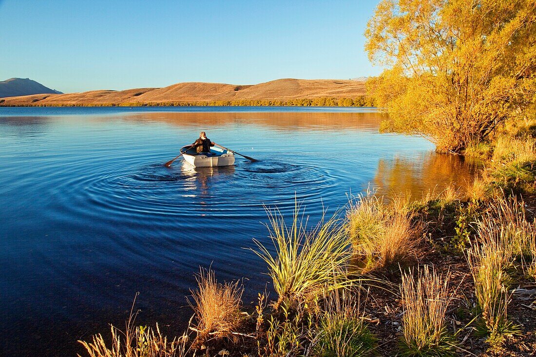 Trout fisherman rows out into Lake Alexandrina Wildlife Refuge just after dawn, no engines allowed on lake, Mackenzie country, Canterbury