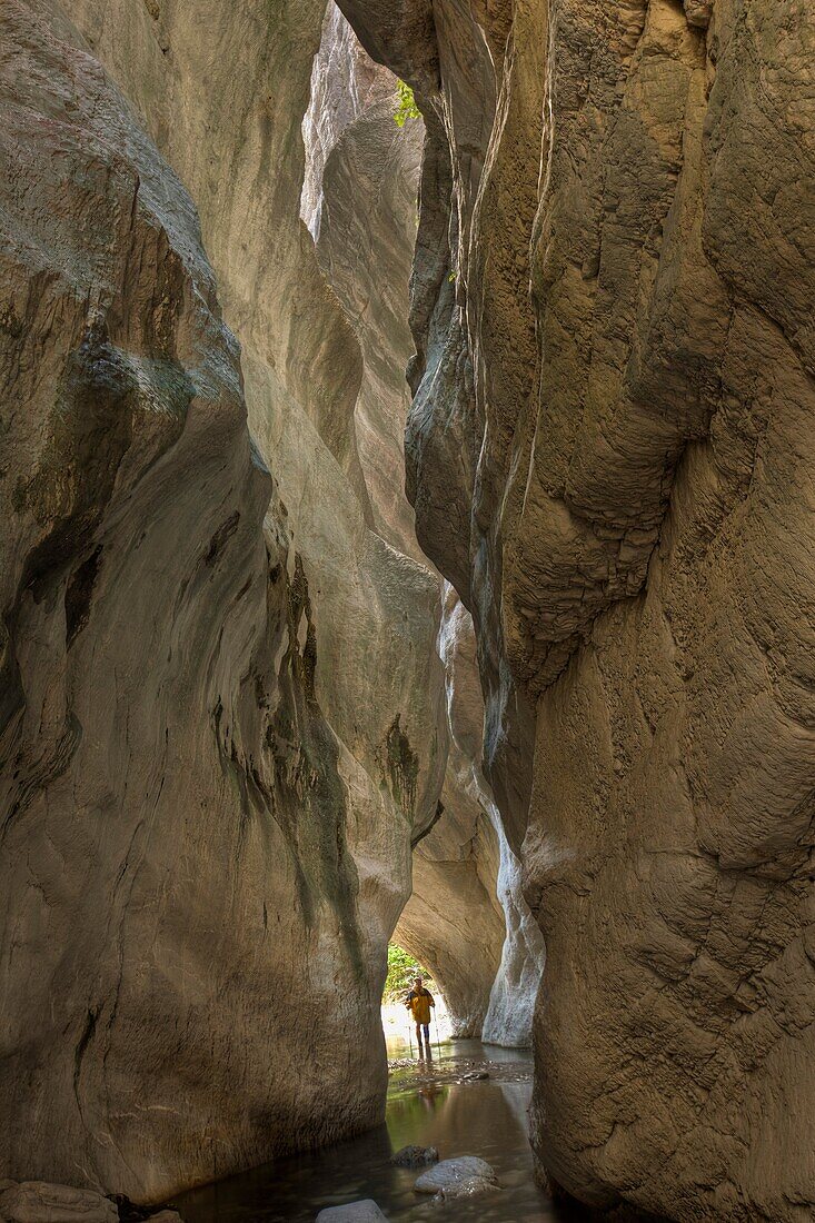 Sawcut gorge, tramper views limestone walls of narrow slot canyon, Ure valley, Marlborough