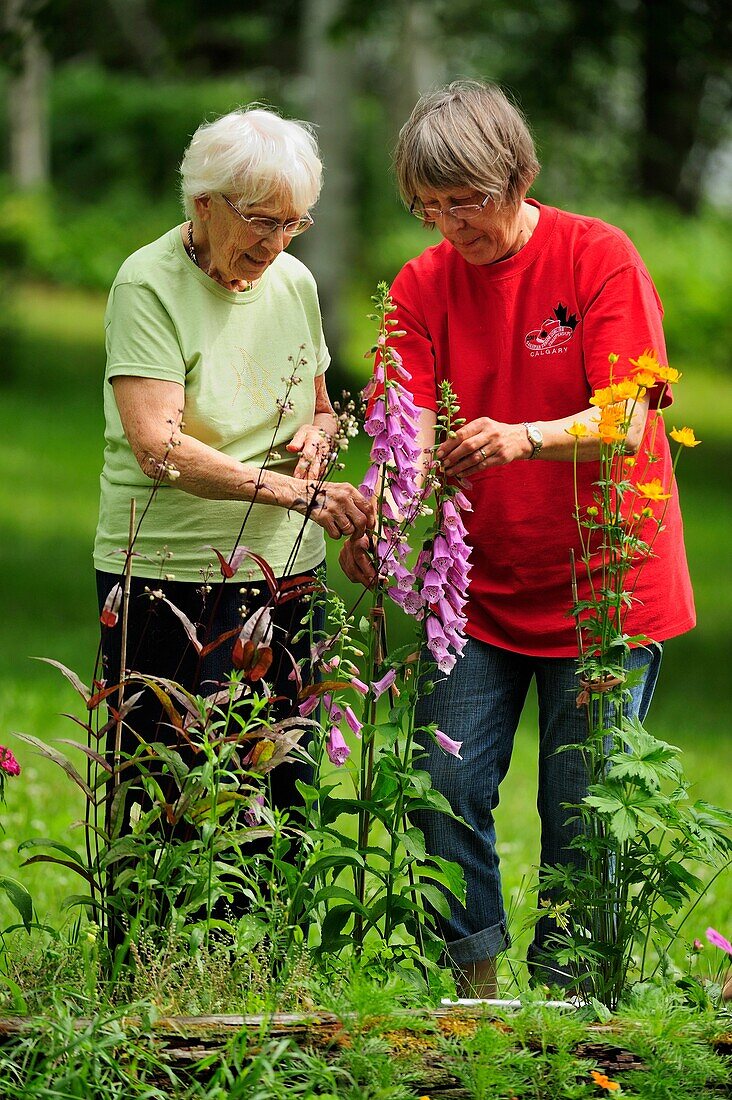 Mrs Lil Punkari age 86 discussing gardening issues with daughter Brenda