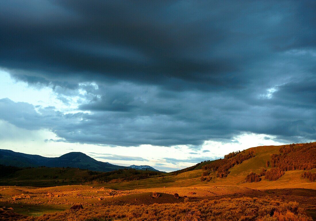 Evening light on the Blacktail Plateau with stormclouds