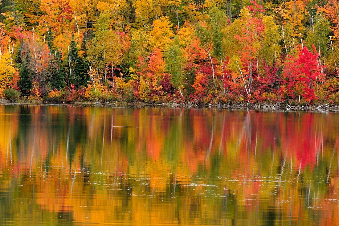Autumn reflections in Apsey Lake
