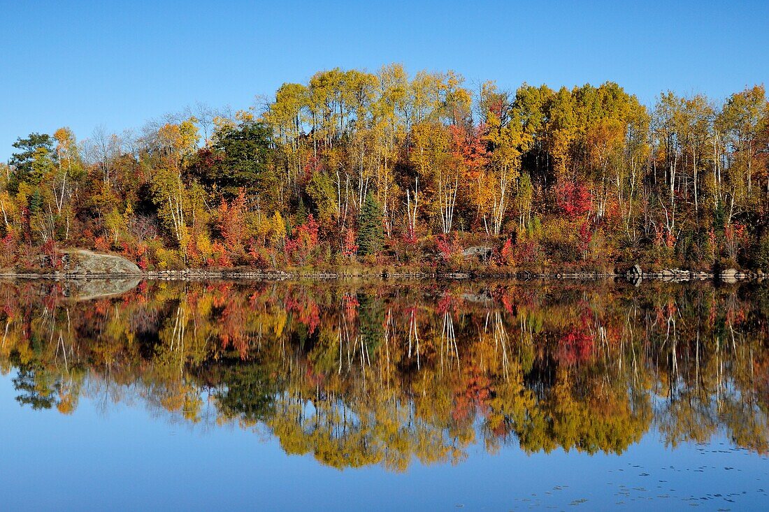 Autumn reflections in Bass Lake