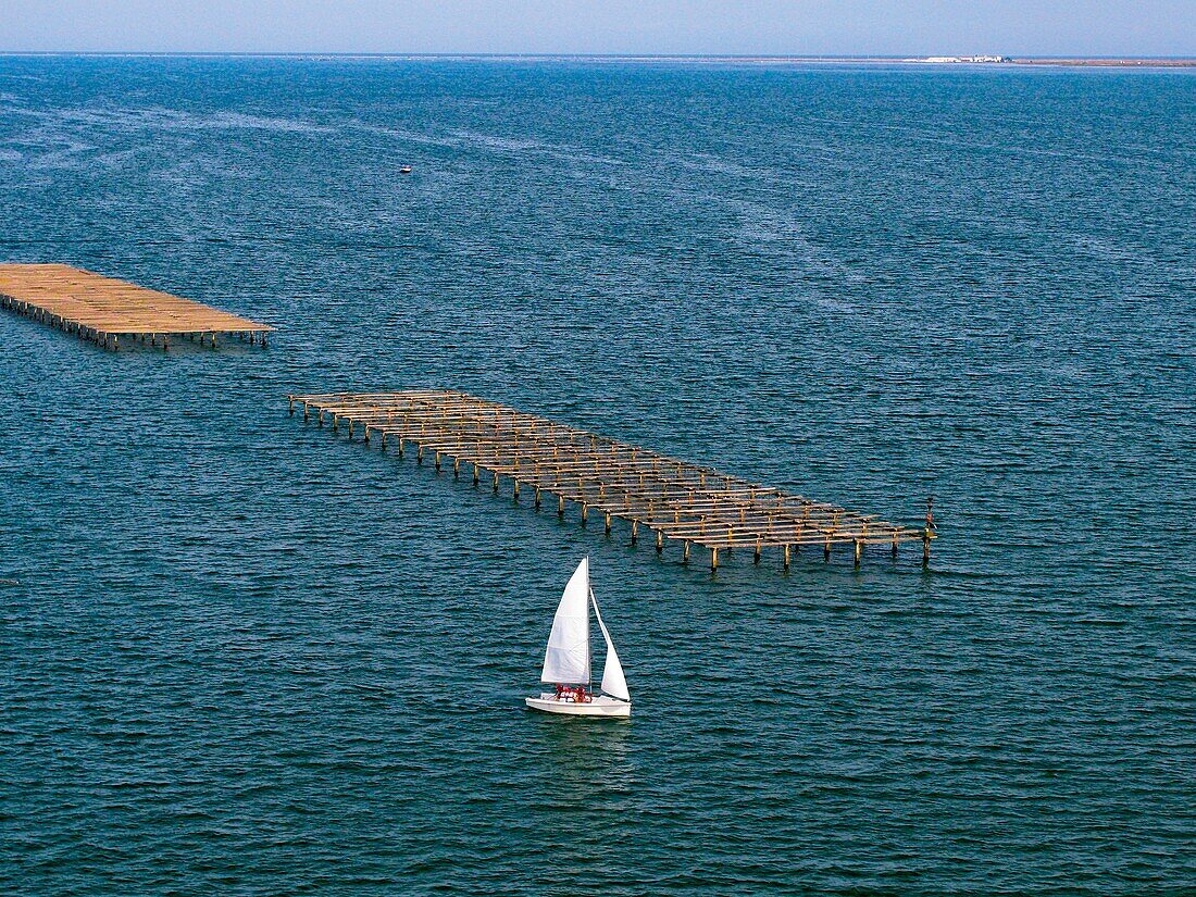 Aerial photography of the Ebro delta