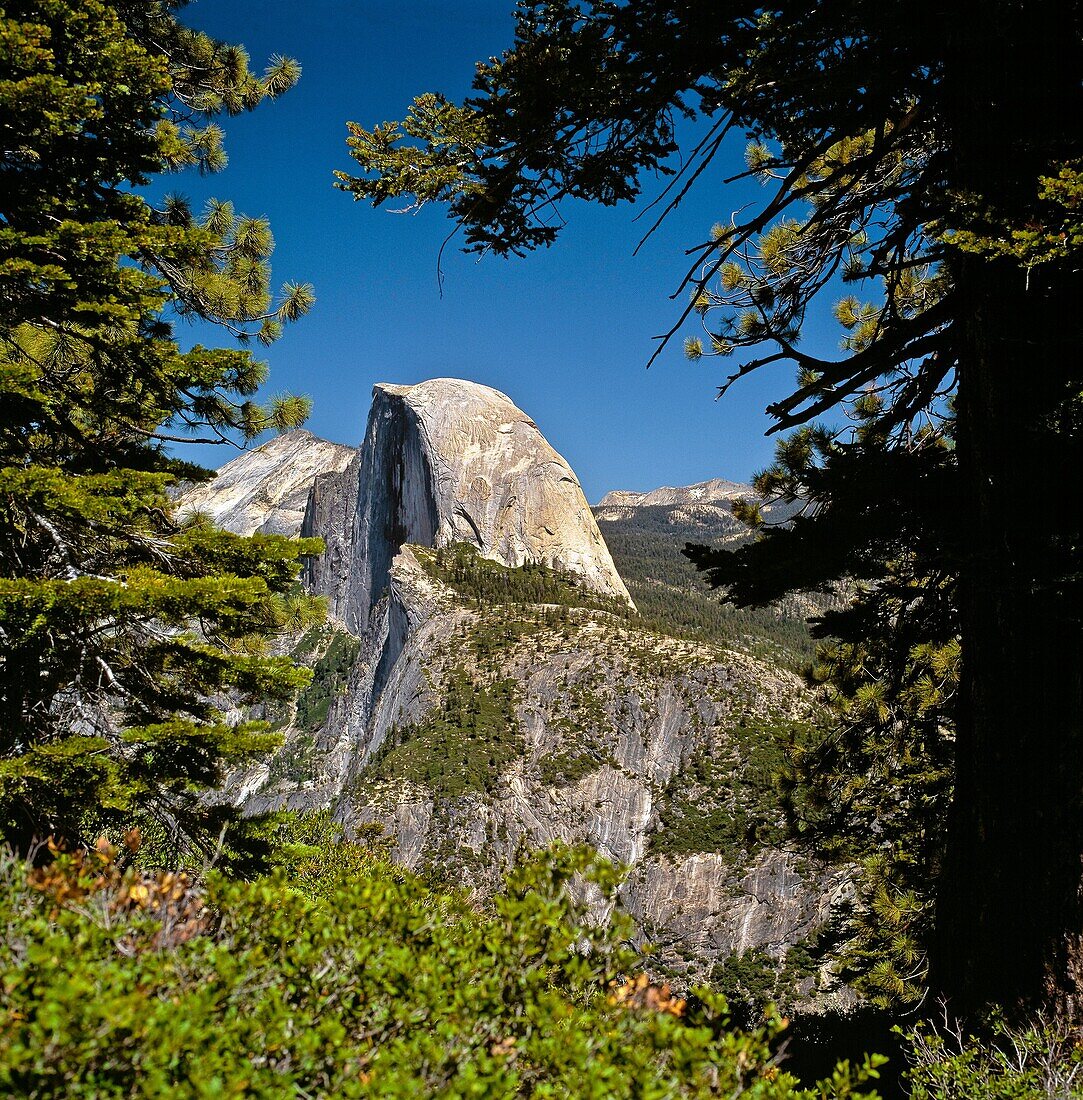 The Half Dome Yosemite National Park California USA