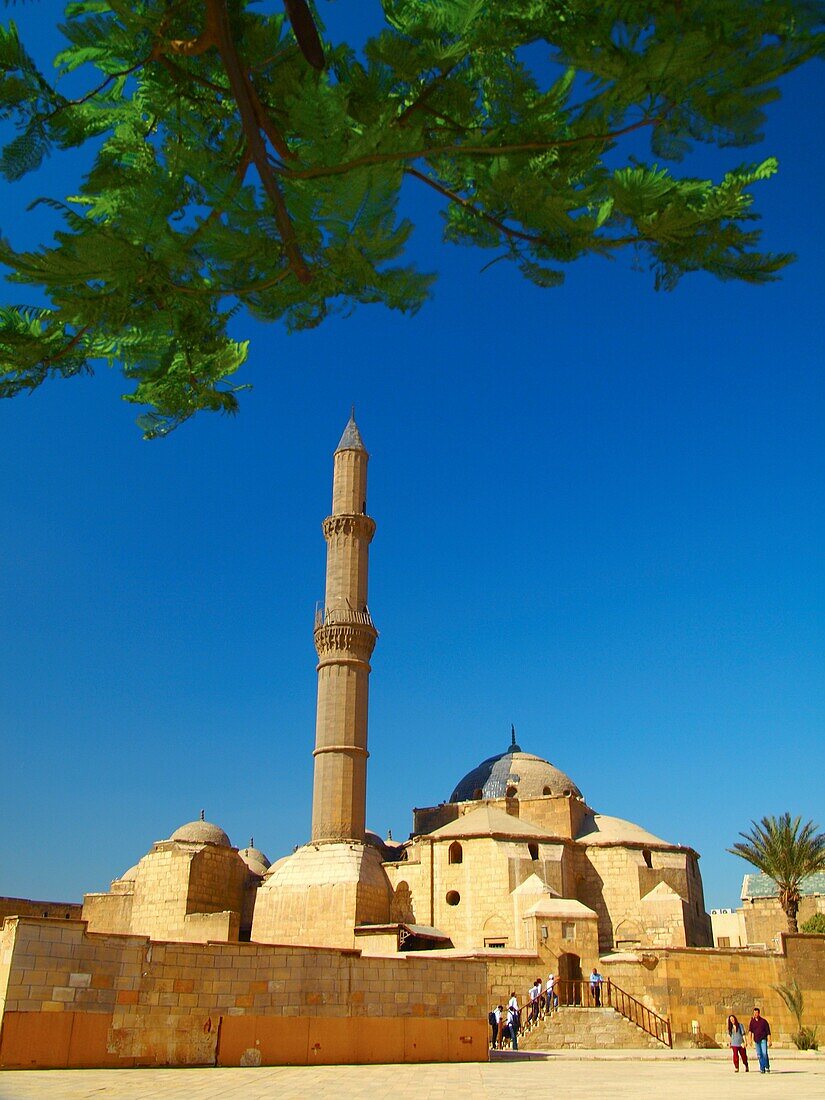 Pasha Sulayman Mosque, Citadel, Cairo, Egypt
