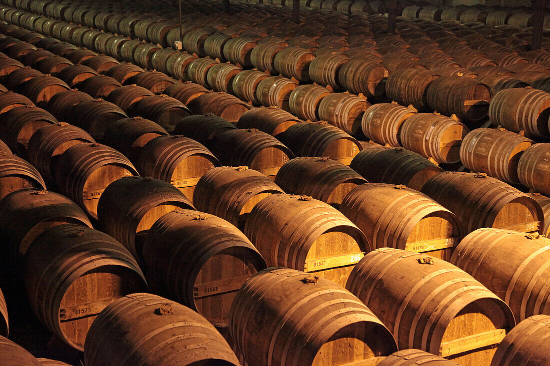 Vats Of Cognac In The Cellars Of Remy Martin, Merpins, Charente (16), France