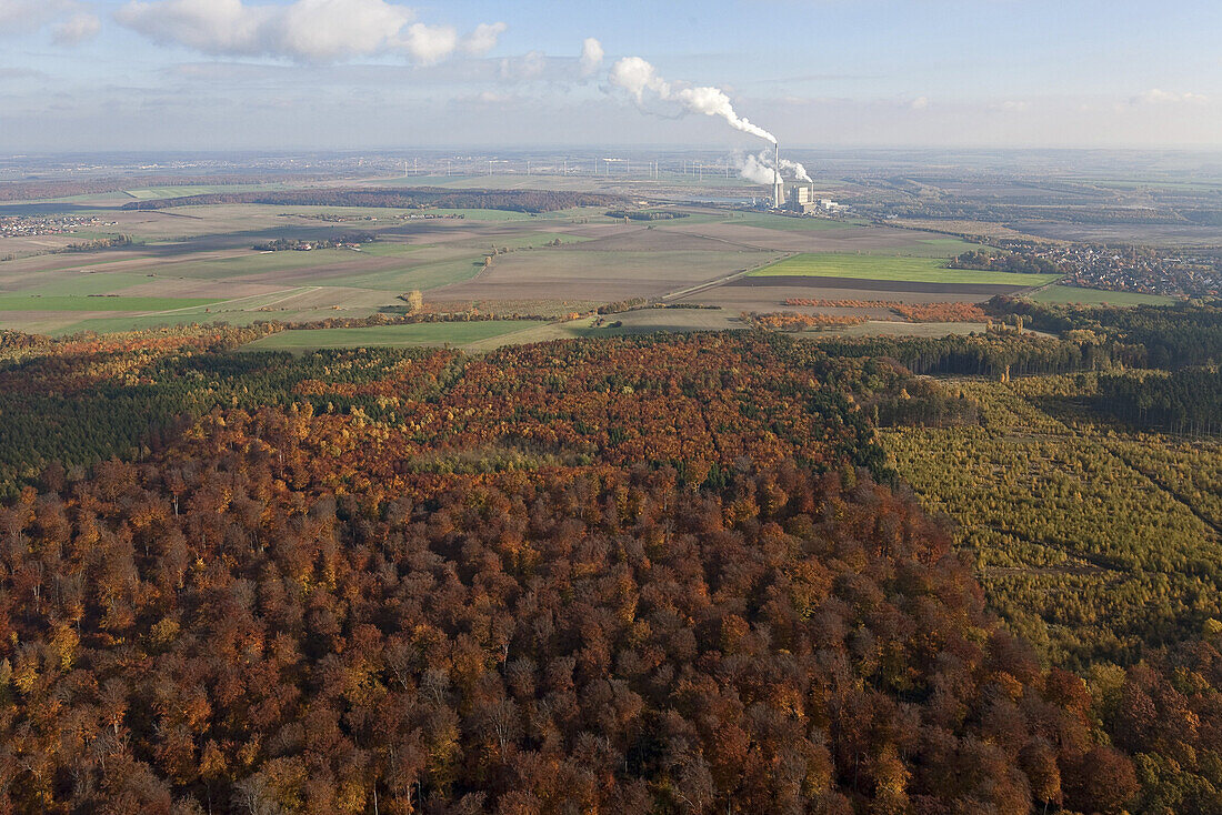 Aerial view of mixed forest in autumn colours, Elm-Lappwald nature park, UNESCO Geo park, Buschhaus coal-fired power plant in background, Lower Saxony, Germany