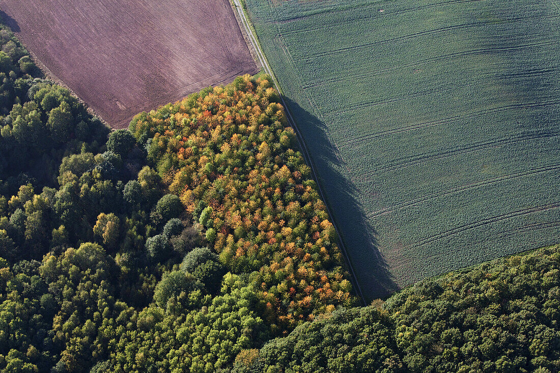 Aerial photo of diverse land useage, agricultural forest and fields, Lower Saxony, Germany