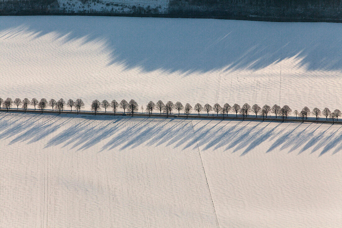 Aerial shot of an alley in winter, Lower Saxony, Germany