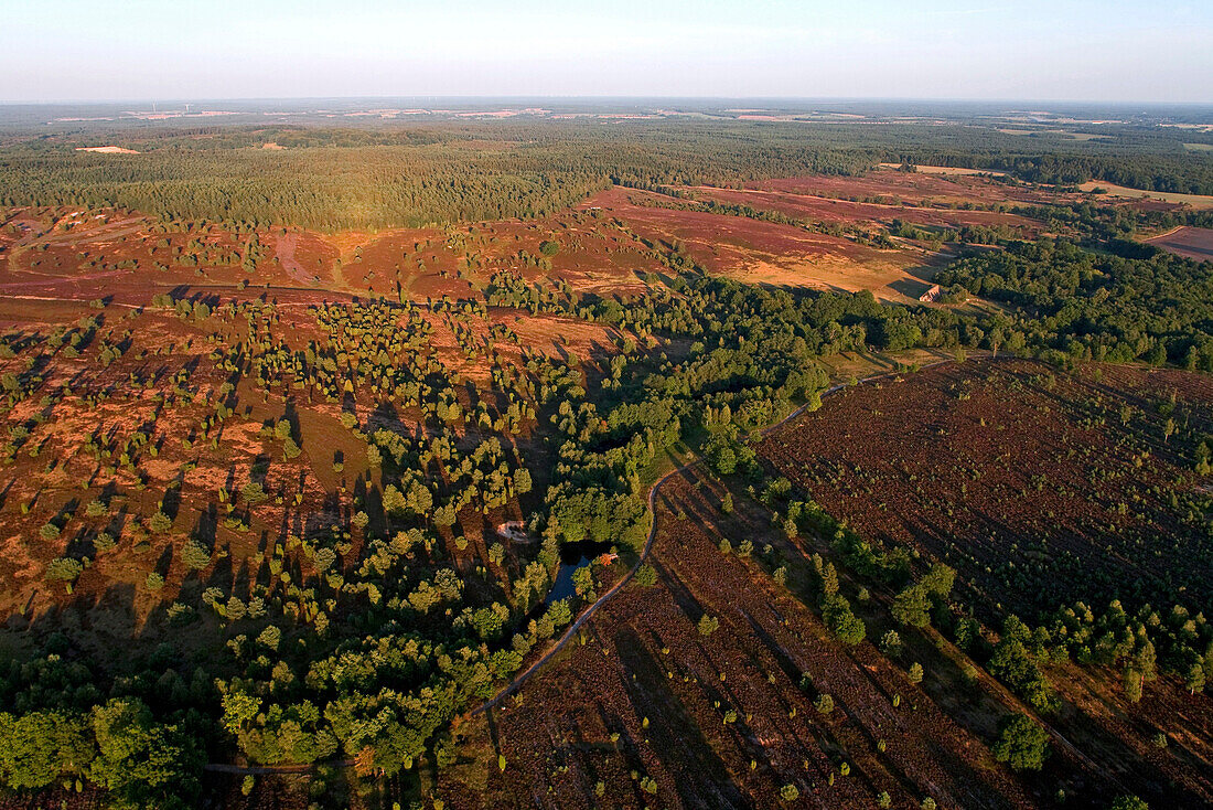 Luftaufnahme der Lüneburger Heide, Niedersachsen, Deutschland