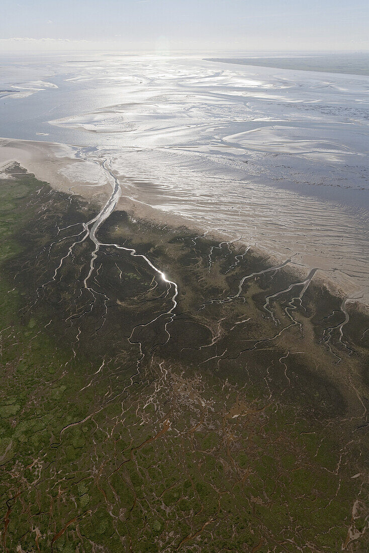 Aerial of tidal inlets in mudflats, Wadden Sea, Lower Saxony, Germany