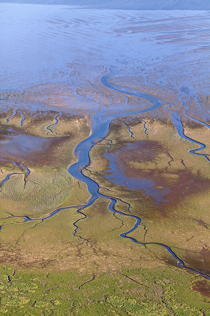Aerial of tidal inlet in mudflats, Wadden Sea, Lower Saxony, Germany