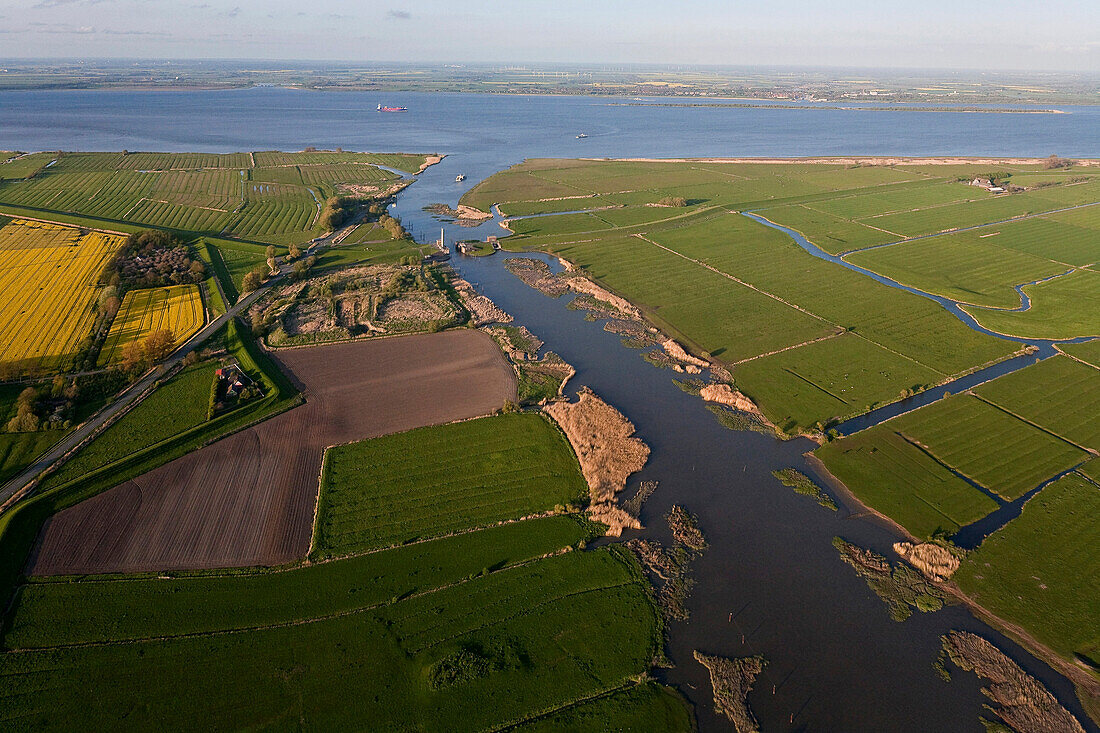 Aerial shot of river Suederelbe and Unterelbe, Wischhafen, Lower Saxony, Germany