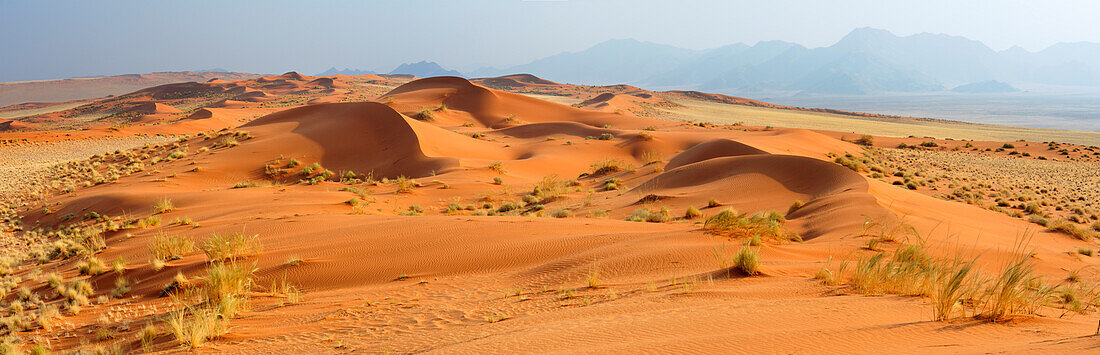Panorama with red sand dunes and Tiras mountains in background, Namib desert, Namib Rand Nature Reserve, Namibia
