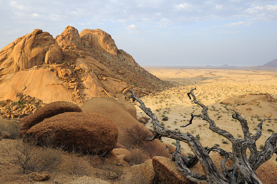 Vertrockneter Baum und rote Granitfelskugeln vor Felsmassiv Sugarloaf, Große Spitzkoppe, Namibia
