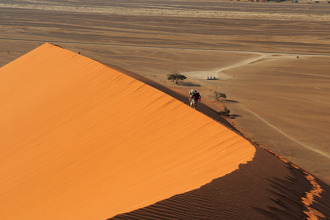 People walking on red sand dune in Sossusvlei, dune 45, Sossusvlei, Namib Naukluft National Park, Namib desert, Namib, Namibia