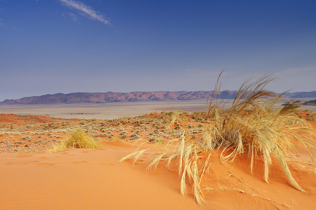 Rote Sanddünen mit Tirasbergen im Hintergrund, Namibwüste, Namibia