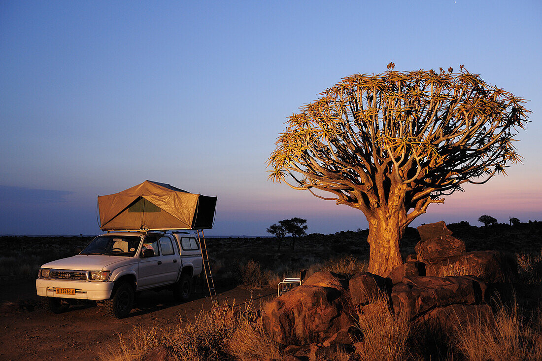 Auto mit Dachzelt neben Köcherbaum in Köcherbaumwald, Aloe dichotoma, Köcherbaumwald, Keetmanshoop, Namibia