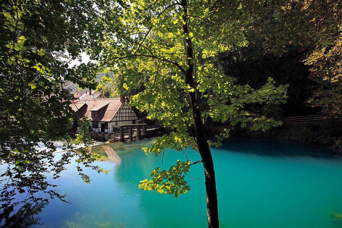 Blautopf, near Blaubeuren, Swabian Alb, Baden-Wurttemberg, Germany