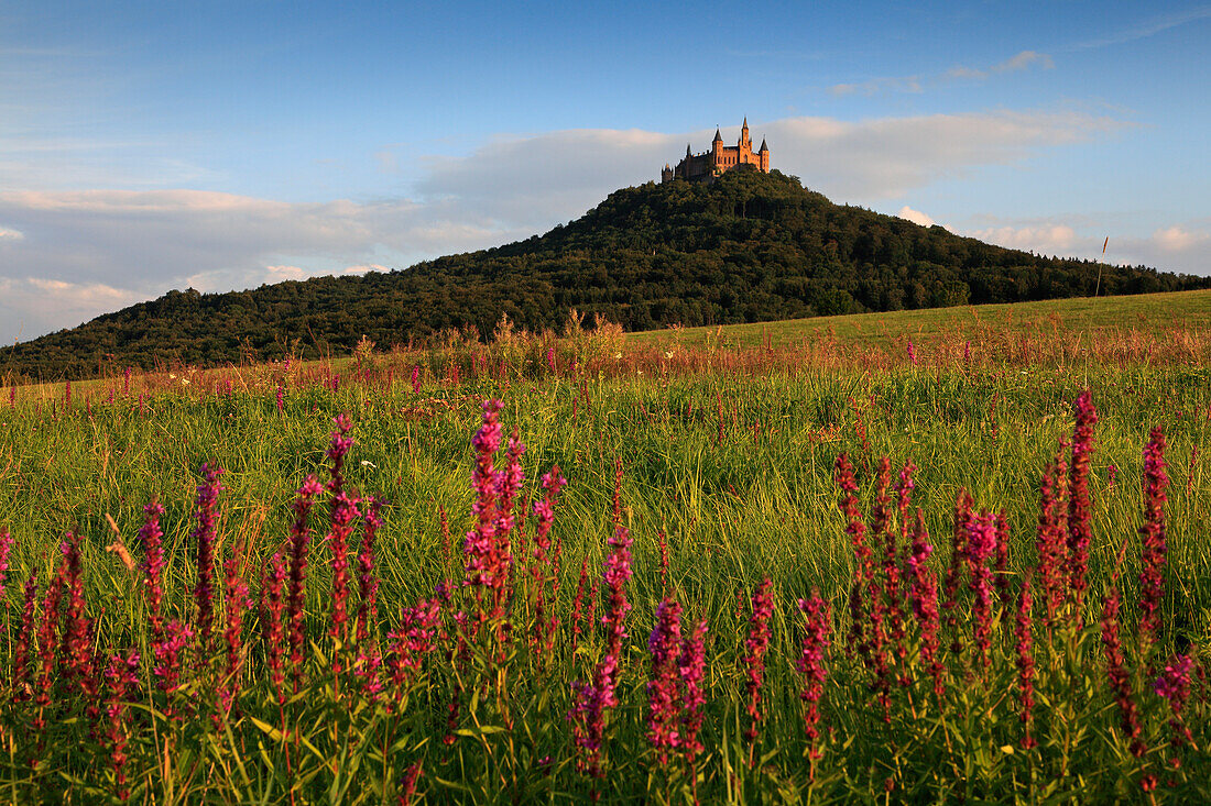 Burg Hohenzollern, bei Hechingen, Schwäbische Alb, Baden-Württemberg, Deutschland