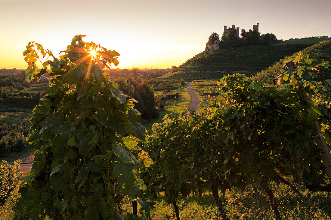 Ortenberg castle, near Offenburg, Ortenau region, Black Forest, Baden-Württemberg, Germany