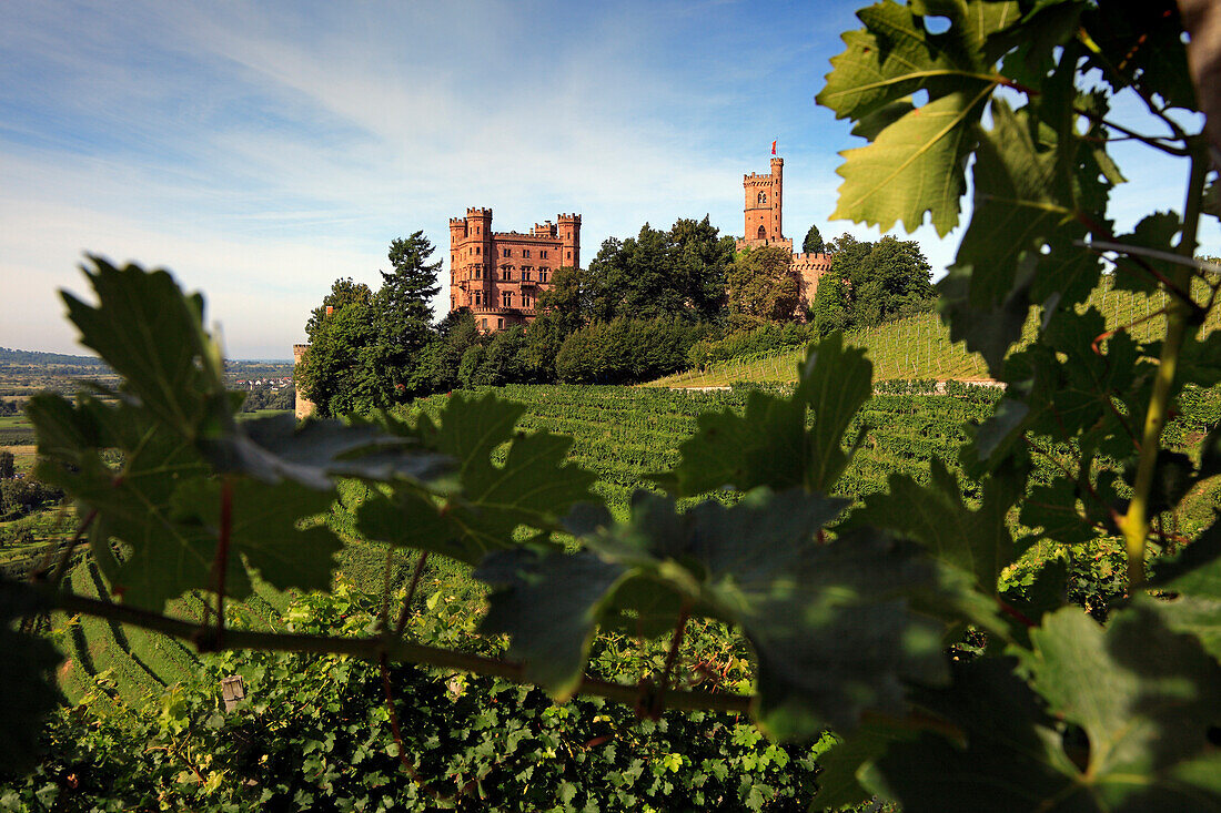 Ortenberg Castle, Ortenberg, Black Forest, Baden-Wuerttemberg, Germany