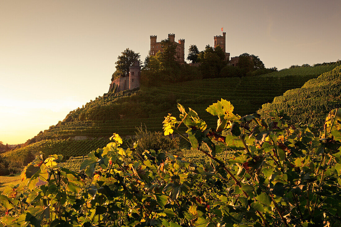 Ortenberg Castle, Ortenberg, Black Forest, Baden-Wuerttemberg, Germany