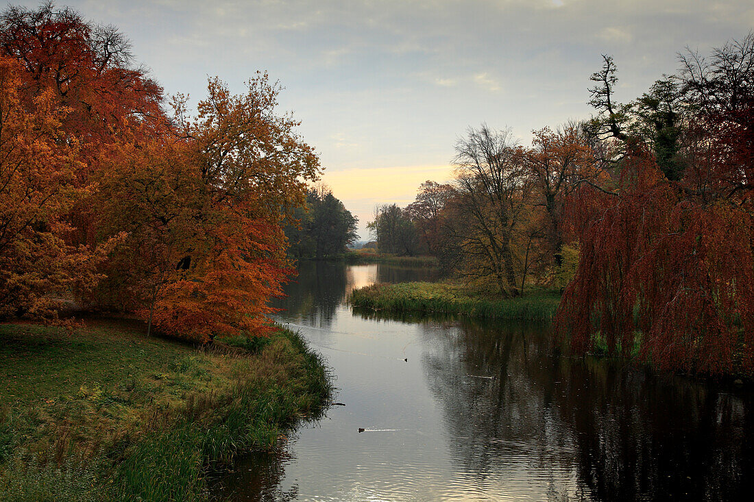 Teich im Schlosspark, Putbus, Insel Rügen, Ostsee, Mecklenburg-Vorpommern, Deutschland