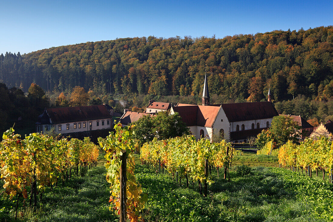 Bronnbach Cistercian monastery, Tauber valley, Romantic Road, Baden-Wurttemberg, Germany