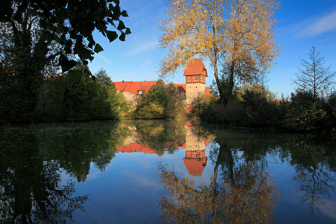 View from the pond to the cathedral, Dinelsbühl, Romantic Road, Franconia, Bavaria, Germany