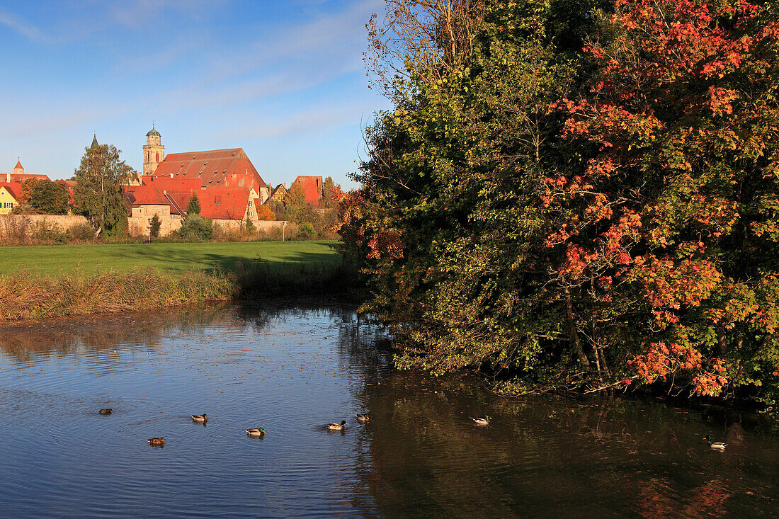 Blick vom Stadtweiher zum Münster, Dinkelsbühl, Romantische Strasse, Franken, Bayern, Deutschland