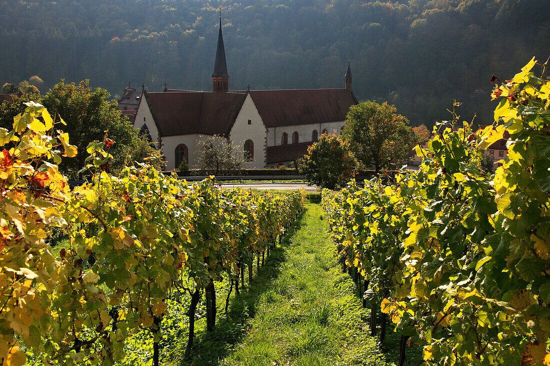 Bronnbach Cistercian monastery, Tauber valley, Romantic Road, Baden-Wurttemberg, Germany