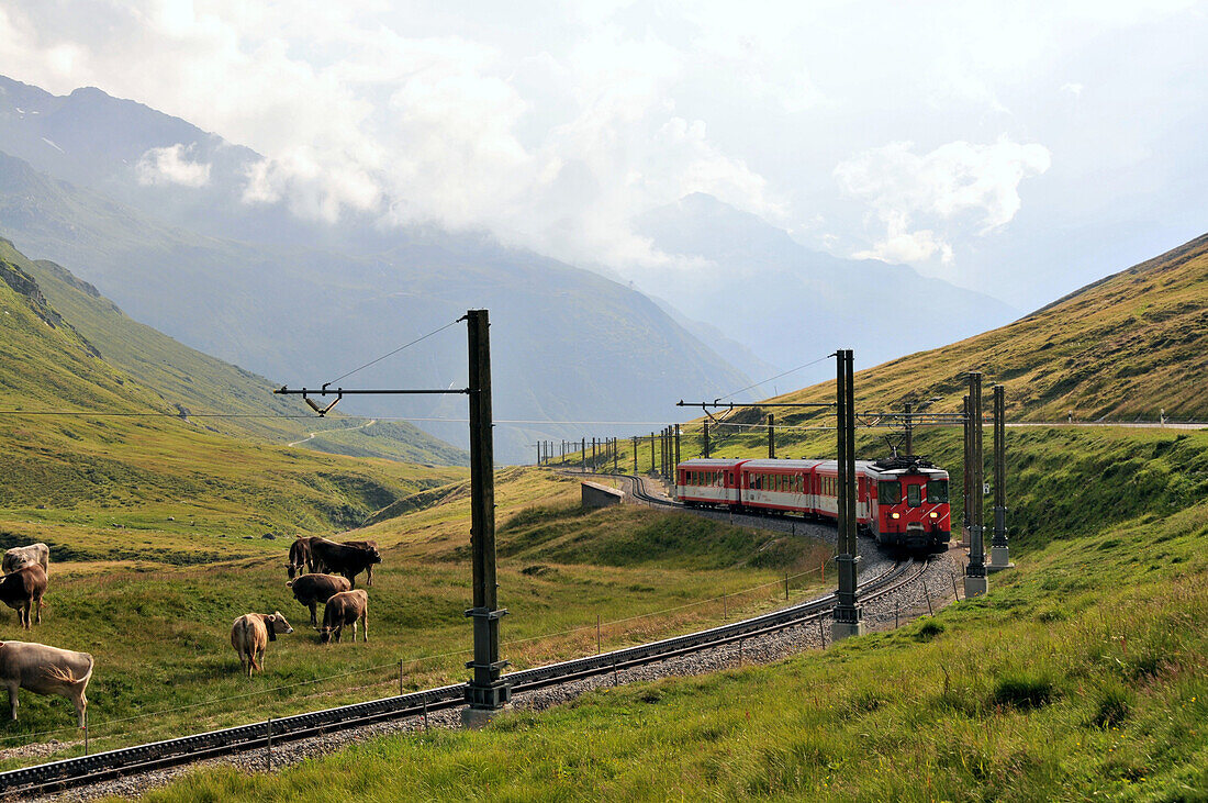 Train Matterhorn-Gotthard-Bahn near Oberalppass, Andermatt, Canton of Uri, Switzerland