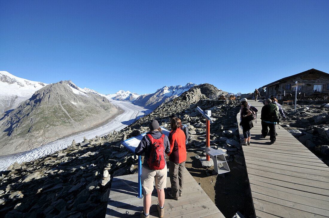View from mount Eggishorn to Aletsch Glacier, Canton of Valais, Switzerland
