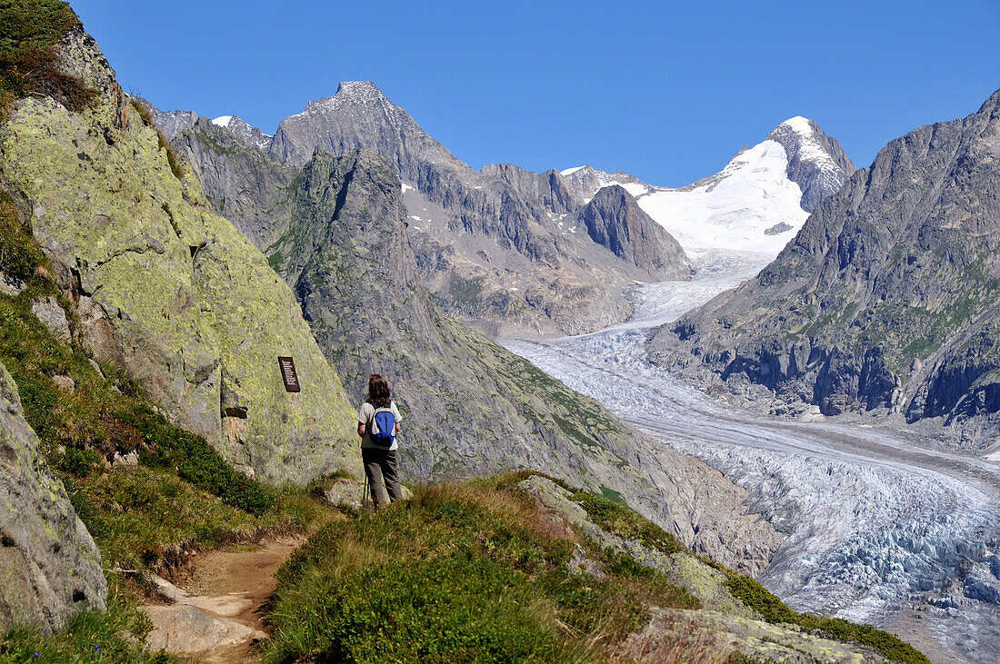 Fiescher Glacier, Bernese Alps, Valais, Switzerland