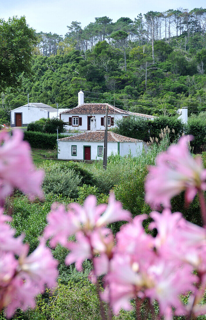 Buildings at the north coast, Island of Santa Maria, Azores, Portugal, Europe