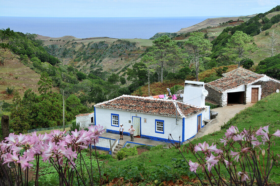 House in remote landscape at the north coast, Island of Santa Maria, Azores, Portugal, Europe
