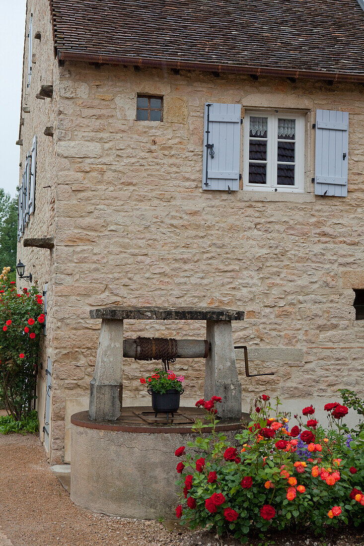 Brunnen und Rosen vor einem Haus, Commune De Sercy, Chalon-sur-Saone, Saone-et-Loire, Bourgogne, Burgund, Frankreich, Europa
