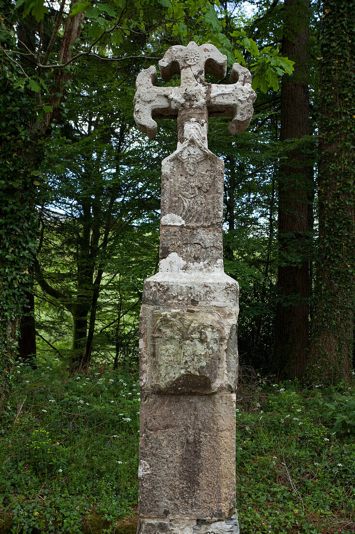 Weathered wayside cross, Cruz de los peregrinos, Province of Navarra, Northern Spain, Spain, Europe