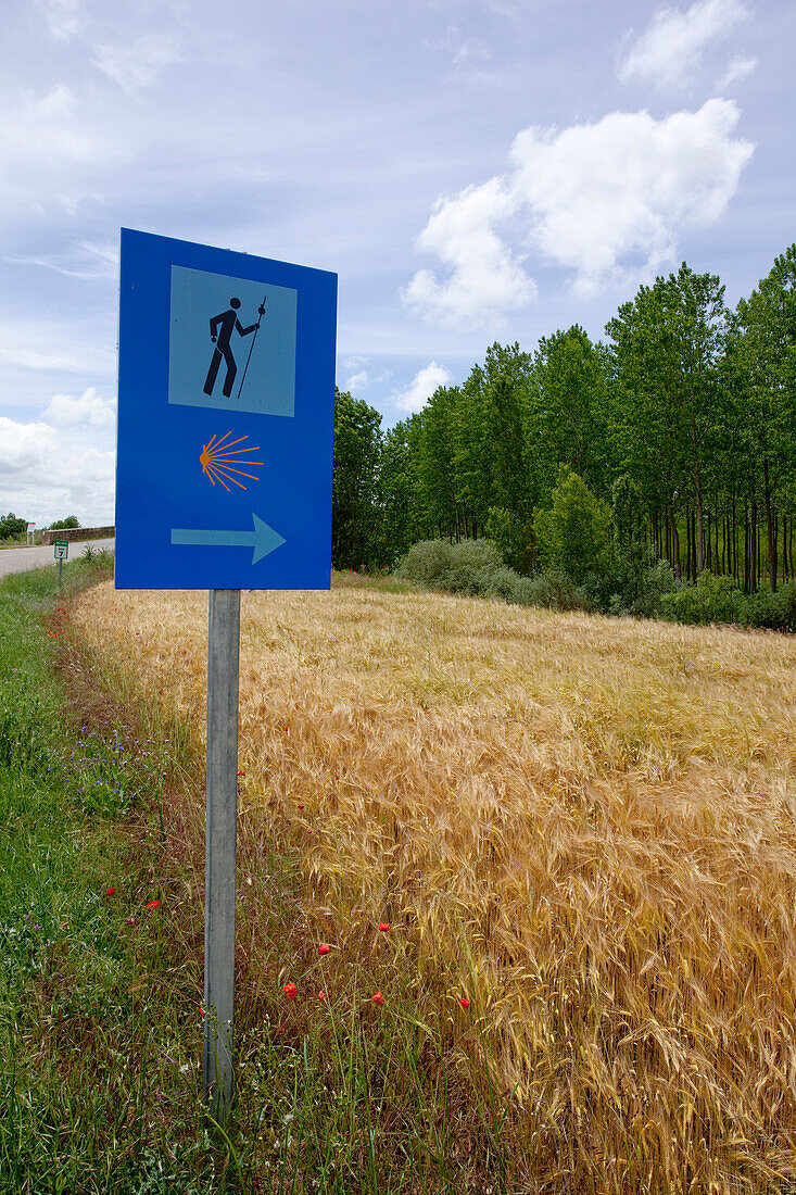 Wegweiser an einem Feld, Provinz Burgos, Altkastilien, Castilla y Leon, Nordspanien, Spanien, Europa