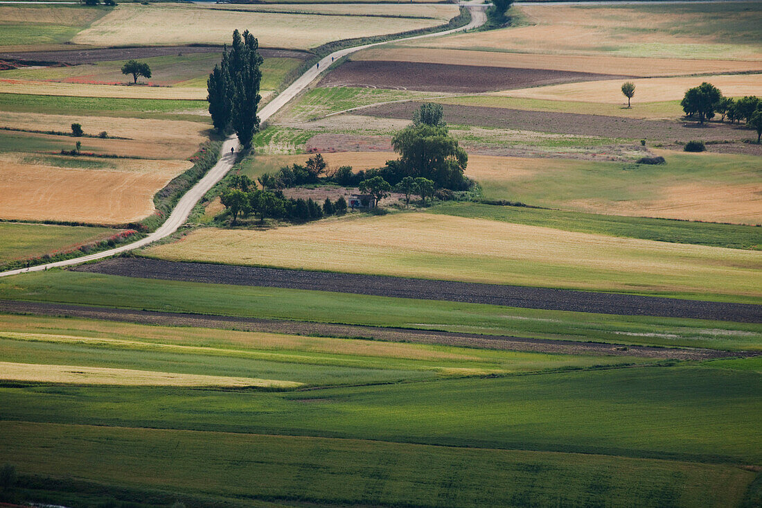 Blick auf Felder und einen Weg, Provinz Burgos, Altkastilien, Castilla y Leon, Nordspanien, Spanien, Europa