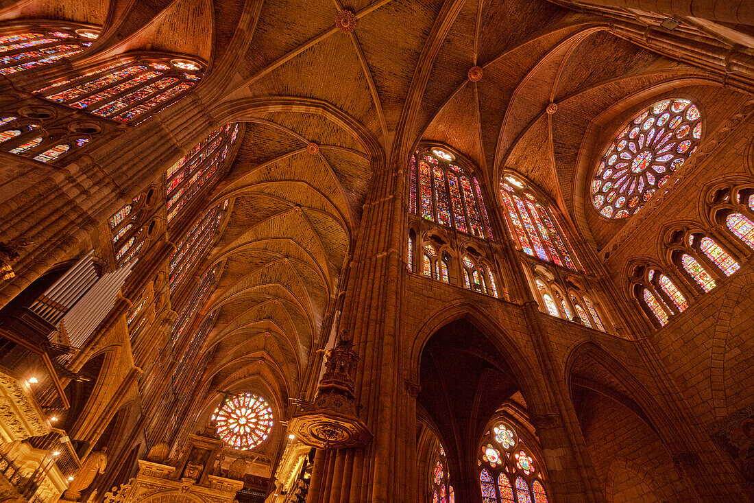 Blick von unten auf das Gewölbe in der Kathedrale Santa Maria de Regla, Leon, Provinz Leon, Altkastilien, Castilla y Leon, Nordspanien, Spanien, Europa
