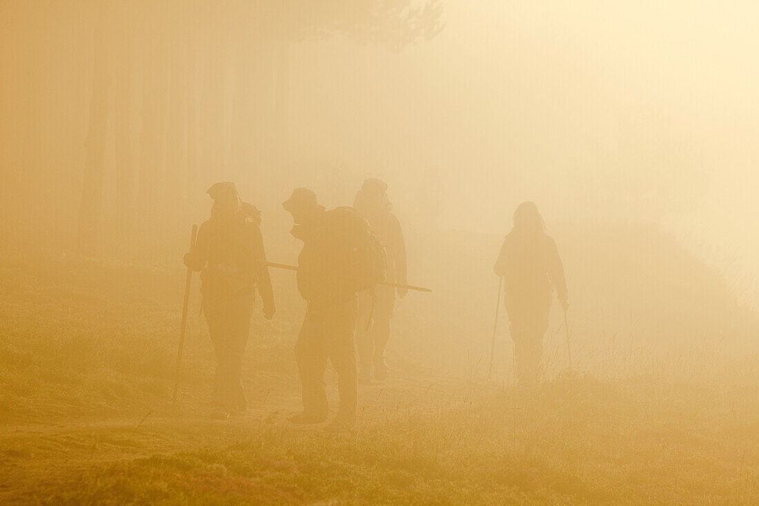 Pilgrims in the fog at sunrise, Province of Leon, Old Castile, Castile-Leon, Castilla y Leon, Northern Spain, Spain, Europe