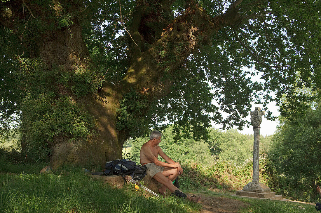 Pilgrim beneath oak tree at a wayside cross, Cruceiro, Province of Lugo, Galicia, Northern Spain, Spain, Europe