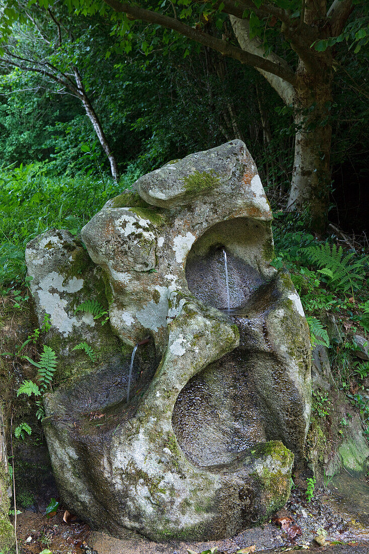 Brunnen in einem Stein, Provinz La Coruna, Galicien, Nordspanien, Spanien, Europa