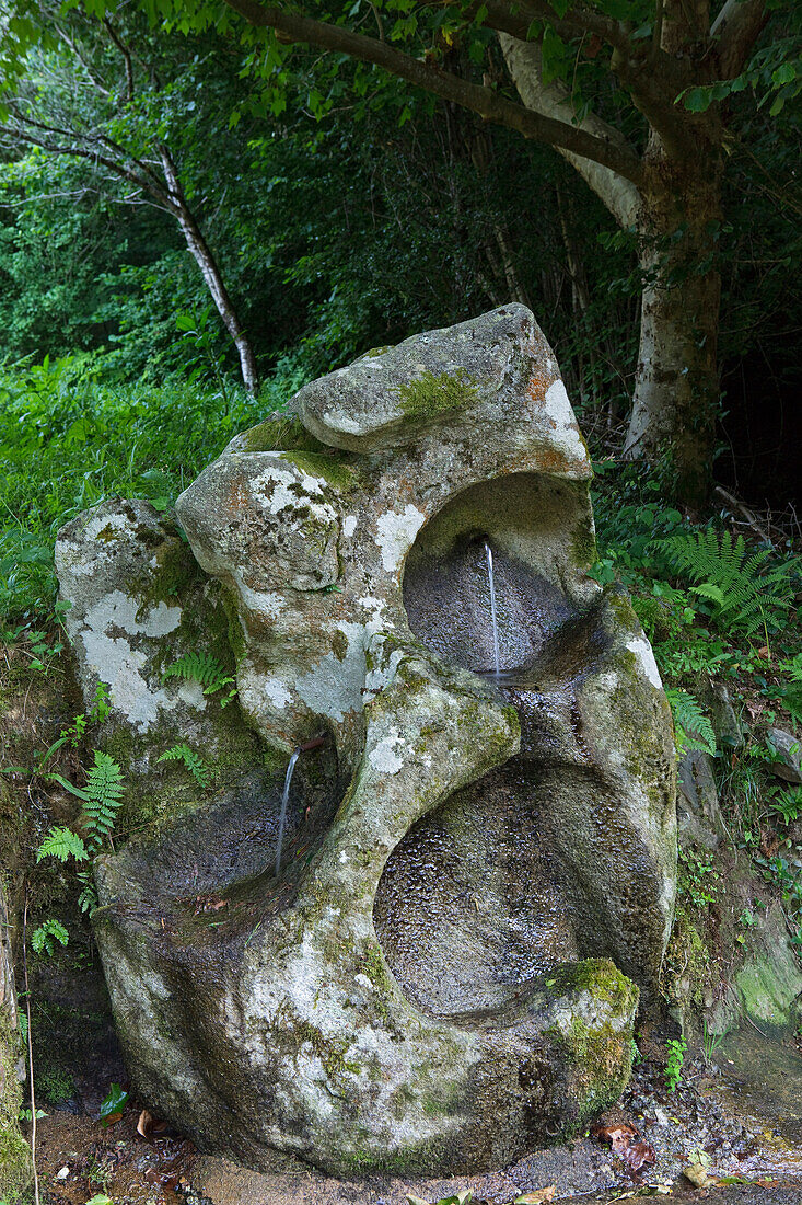 Fountain in a stone, Province of La Coruna, Galicia, Northern Spain, Spain, Europe