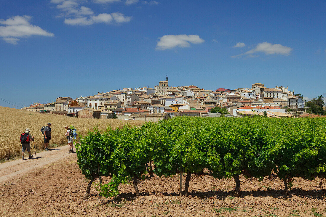 Pilger bei einem Weinfeld, Cirauqui, Navarra, Spanien