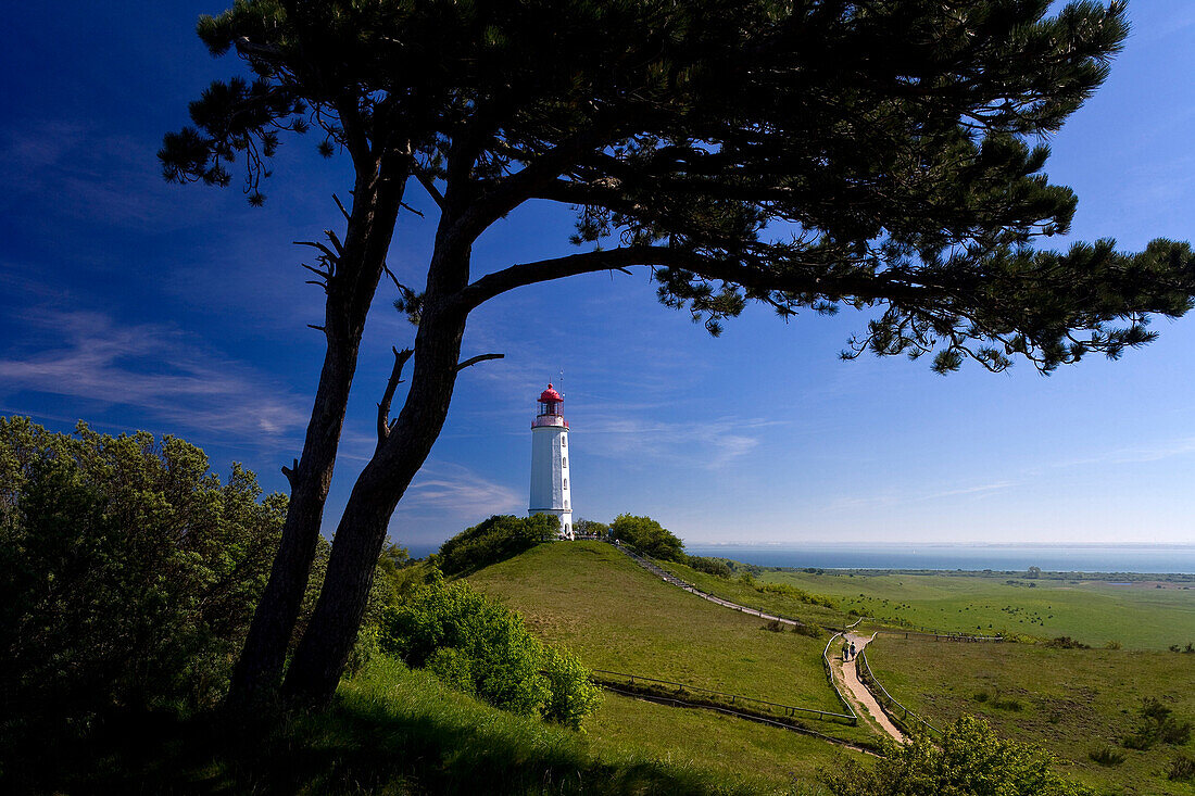 Leuchtturm auf dem Dornbusch, bei Kloster, Insel Hiddensee, Mecklenburg-Vorpommern, Deutschland, Europa